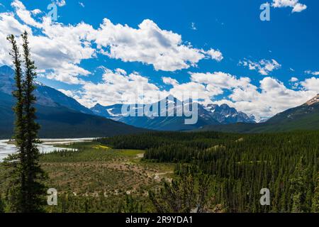 Splendide vedute delle montagne con il fiume in primo piano lungo Icefields Parkway, Canada Foto Stock