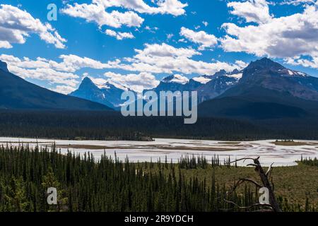 Splendide vedute delle montagne con il fiume in primo piano lungo Icefields Parkway, Canada Foto Stock