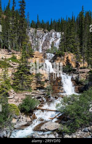 Le bellissime cascate Tangle si snodano lungo la Icefields Parkway nel Jasper National Park, Canada Foto Stock