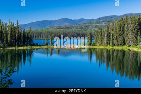 Mattinata tranquilla che riflette sul lago al William a Switzer Provincial Park, Alberta, Canada Foto Stock