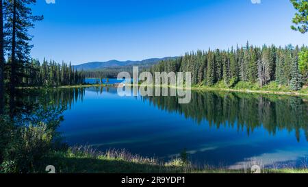 Mattinata tranquilla che riflette sul lago al William a Switzer Provincial Park, Alberta, Canada Foto Stock