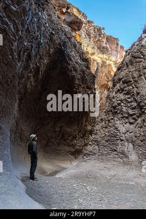 Un uomo che si trova in un canyon a fessura eroso d'acqua con pareti curve che guardano verso il paesaggio, Closed Canyon, Big Bend Ranch State Park, Texas Foto Stock