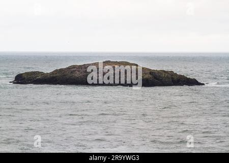 Il punto più settentrionale del Galles. Middle mouse o Ynys Badrig Island, al largo della costa nord di Anglesey, paesaggio Foto Stock