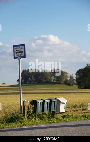 Fermata dell'autobus e cassette postali sul paesaggio vicino alla strada di campagna. Skane, Svezia. Foto Stock