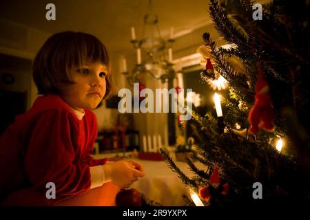 Vista laterale di un simpatico bambina guardando un albero di Natale decorato Foto Stock