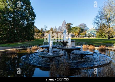 Cambridge University Botanic Garden, Cambridge Regno Unito Foto Stock