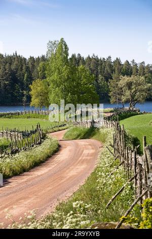 Recinzione strada sterrata lungo il paesaggio con alberi contro il cielo sullo sfondo. Småland, Svezia. Foto Stock