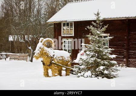 Capra natalizia yule con slitta vicino all'albero di Natale ricoperta di neve di fronte a una casa Foto Stock