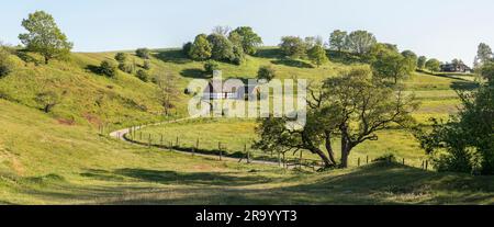 Cottage in uno splendido paesaggio di campagna a Skane nel sud della Svezia. Foto Stock