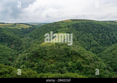 Vista dalla cima della Countisbury Hill della Watersmeet Valley nel Parco Nazionale di Exmoor Foto Stock