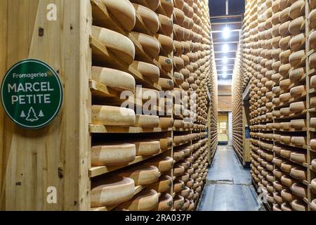 Formaggio Comté stagionato nelle cantine di Fort Saint-Antoine, vicino a Pontarlier, Franca Contea, Francia Foto Stock