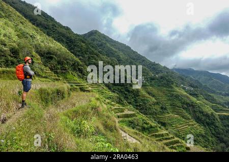 Escursionista che guarda verso l'orizzonte nelle risaie di Banaue, Filippine Foto Stock