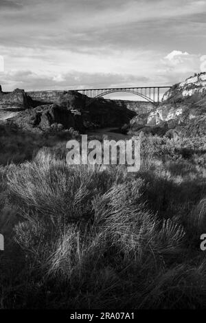 Una foto di paesaggio in bianco e nero del Perrine Bridge sopra il fiume Snake e pennello asciutto in primo piano illuminato dal sole basso in prima serata Foto Stock