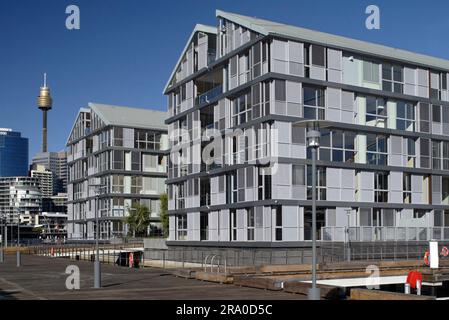 Wharf 8 e Wharf 9, situati sulla costa di Pyrmont Bay con Darling Harbour a est e Darling Island e Jones Bay a ovest. Precedentemente utilizzati per molti decenni come cantieri di carico, i moli sono stati trasformati di recente in un edificio residenziale contenente 104 appartamenti, 54 posti barca e una passerella pubblica. Sydney, Australia. 29 giugno 2008. Foto Stock