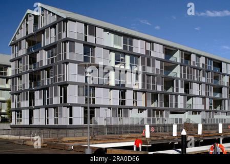 Wharf 8 e Wharf 9, situati sulla costa di Pyrmont Bay con Darling Harbour a est e Darling Island e Jones Bay a ovest. Precedentemente utilizzati per molti decenni come cantieri di carico, i moli sono stati trasformati di recente in un edificio residenziale contenente 104 appartamenti, 54 posti barca e una passerella pubblica. Sydney, Australia. 29 giugno 2008. Foto Stock