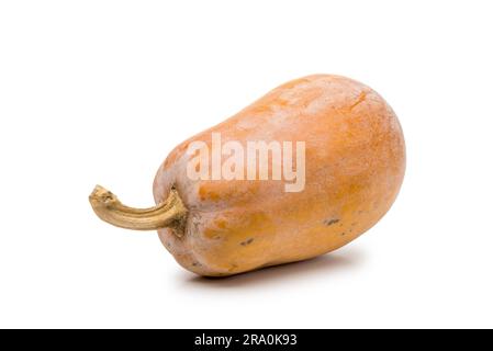 Zucca (Cucurbita Moschata), ibrida conosciuta anche come Butternut squash, isolata su sfondo bianco Foto Stock