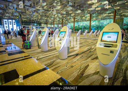 Chiosco check-in self-service al terminal 3 dell'aeroporto internazionale Changi di Singapore. Foto Stock