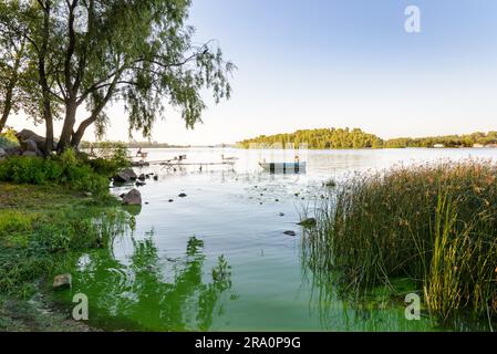 Kiev Ucraina, 9 agosto 2016, Fisherman sul fiume Dnieper, la sera, a Kiev la capitale dell'Ucraina Foto Stock