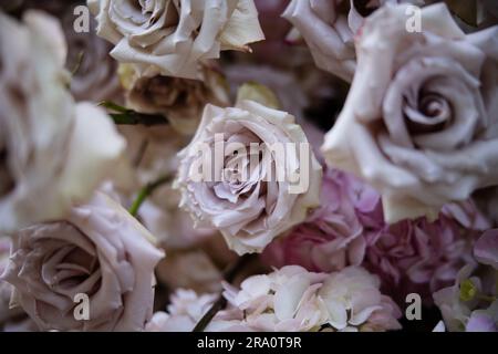 Bellissime composizioni di fiori arrossati per matrimoni con rose, candele e fiato del bambino in un lussureggiante evento con giardino botanico con scale e arco. Foto Stock