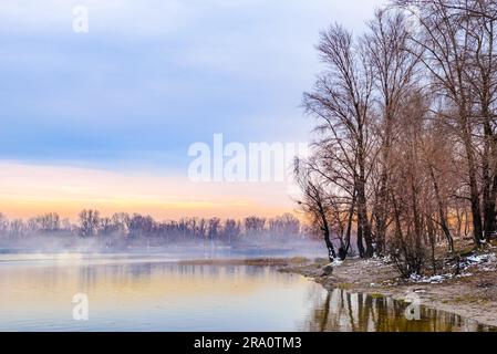 Vista di salici e pioppi vicino al fiume Dnieper a Kiev durante un freddo e nebulizzato pomeriggio invernale Foto Stock