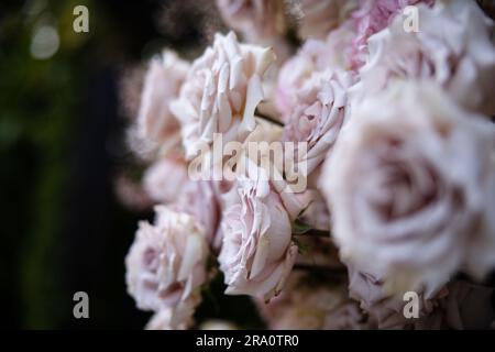 Bellissime composizioni di fiori arrossati per matrimoni con rose, candele e fiato del bambino in un lussureggiante evento con giardino botanico con scale e arco. Foto Stock