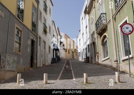 Gabbiano adulto a gambe gialle (Larus michahellis) su ciottoli di Rua dos Ferreiros nel centro storico di Lagos, distretto di Faro, Algarve, Portogallo Foto Stock
