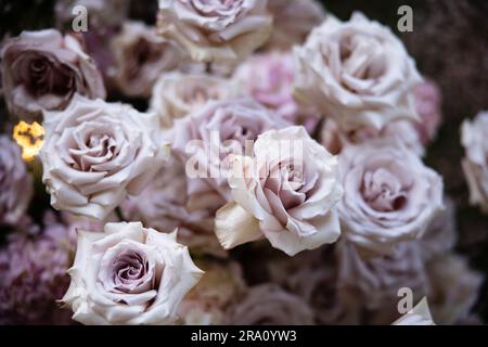 Bellissime composizioni di fiori arrossati per matrimoni con rose, candele e fiato del bambino in un lussureggiante evento con giardino botanico con scale e arco. Foto Stock