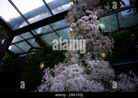 Bellissime composizioni di fiori arrossati per matrimoni con rose, candele e fiato del bambino in un lussureggiante evento con giardino botanico con scale e arco. Foto Stock