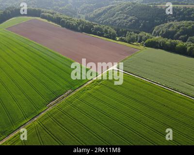 Vista aerea dei verdi campi coltivati e dei campi agricoli arati con sporcizia all'inizio dell'estate Foto Stock