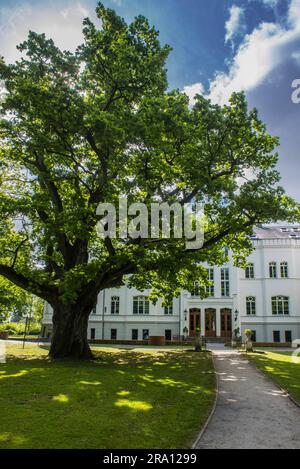 Maniero ristrutturato, Hotel Schlemmin, Schlemmin, Meclemburgo-Pomerania occidentale, Germania Foto Stock