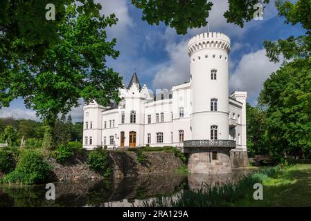 Maniero ristrutturato, Hotel Schlemmin, Schlemmin, Meclemburgo-Pomerania occidentale, Germania Foto Stock