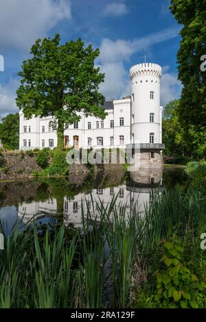 Maniero ristrutturato, Hotel Schlemmin, Schlemmin, Meclemburgo-Pomerania occidentale, Germania Foto Stock