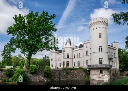 Maniero ristrutturato, Hotel Schlemmin, Schlemmin, Meclemburgo-Pomerania occidentale, Germania Foto Stock