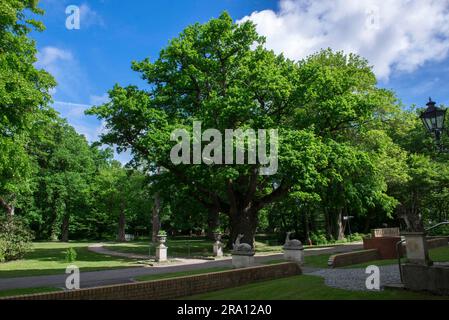 Maniero ristrutturato, Hotel Schlemmin, Schlemmin, Meclemburgo-Pomerania occidentale, Germania Foto Stock