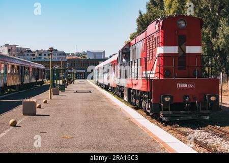 Locomotive diesel e vecchie carrozze coperte di graffiti aspettano di partire alla stazione ferroviaria di Durrës, sulla costa albanese Foto Stock