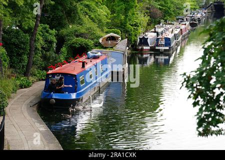 Una donna tiene la mano ai cigni dalla sua barca sul canale Regent's Canal a Little Venice, Maida vale, West London. Data immagine: Venerdì 30 giugno 2023. Foto Stock