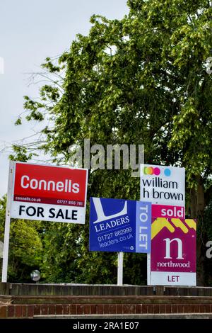 Agenzie immobiliari di fila, St.Albans, Hertfordshire, Inghilterra, Regno Unito Foto Stock