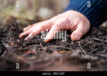 agricoltore che studia un campione di terreno e pianta sul campo. scienziato in un paddock Foto Stock