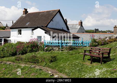 Qui è possibile ammirare il Cornish Cottage per antonomasia, situato in una posizione tranquilla nel villaggio di Coverack. Foto Stock