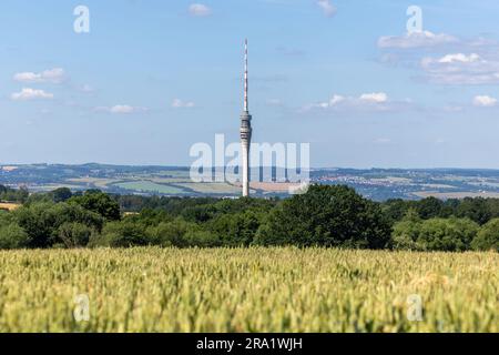 Dresda, Germania. 29 giugno 2023. In lontananza, la torre della televisione di Dresda si innalza dietro i campi. Credito: Daniel Schäfer/dpa/Alamy Live News Foto Stock