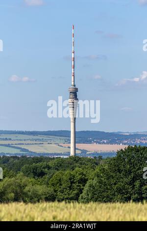 Dresda, Germania. 29 giugno 2023. In lontananza, la torre della televisione di Dresda si innalza dietro i campi. Credito: Daniel Schäfer/dpa/Alamy Live News Foto Stock