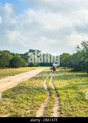 Cavalieri su un sentiero sterrato nel Texas Hill Country ranch. Foto Stock