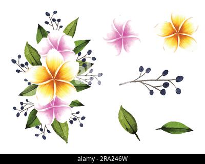 Acquerello bouquet floreale di frangipani dipinto a mano con fiori e foglie isolati Illustrazione Vettoriale