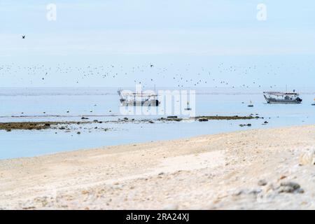 Barche con fondo di vetro ancorate a Lighthouse Beach, Lady Elliot Island Eco Resort, Queensland, Australia Foto Stock