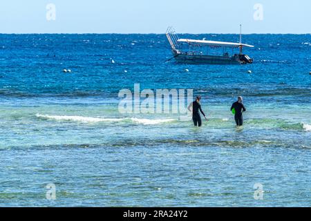 Gli amanti dello snorkeling entrano in acqua con barche con fondo in vetro ancorate sullo sfondo, Lighthouse Beach, Lady Elliot Island Eco Resort, Queensland, Australia Foto Stock