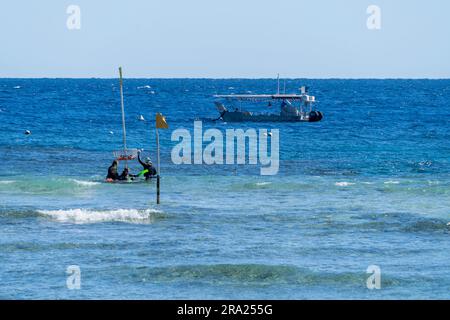 Gli amanti dello snorkeling entrano in acqua con barche con fondo in vetro ancorate sullo sfondo, Lighthouse Beach, Lady Elliot Island Eco Resort, Queensland, Australia Foto Stock