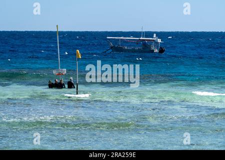 Gli amanti dello snorkeling entrano in acqua con barche con fondo in vetro ancorate sullo sfondo, Lighthouse Beach, Lady Elliot Island Eco Resort, Queensland, Australia Foto Stock