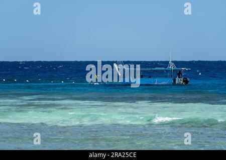 Barche con fondo in vetro ancorate a Lighthouse Beach, Lady Elliot Island Eco Resort, Queensland, Australia Foto Stock