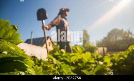 L'agricoltore si trova in giardino con una pala. Concetto di giardinaggio. Lavori agricoli nella piantagione Foto Stock