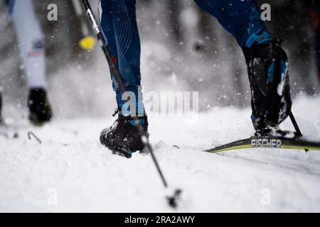 Una persona che scia in condizioni di pioggia su un terreno innevato, vestita con attrezzatura per la stagione fredda Foto Stock